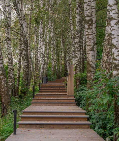 Just Wood