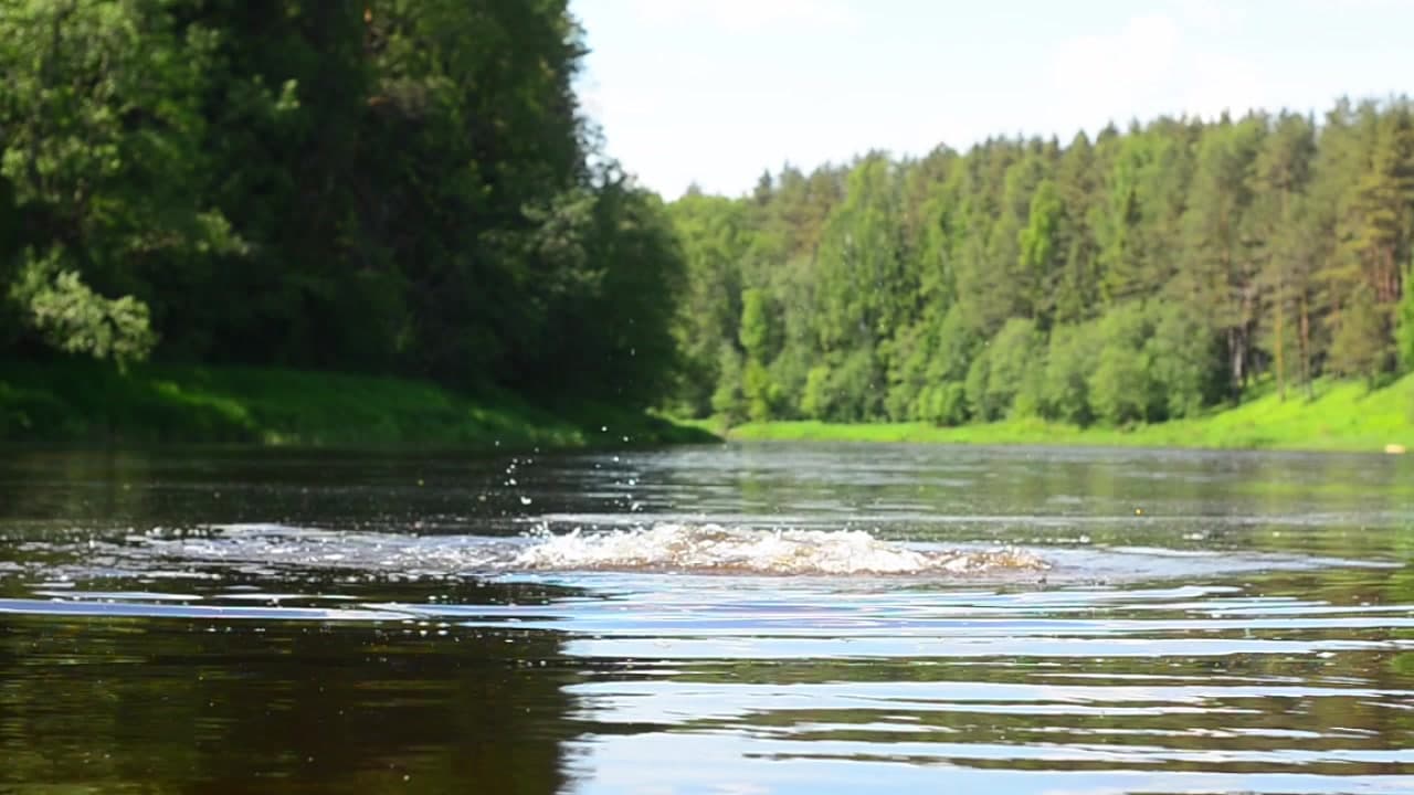Каменецкие купели