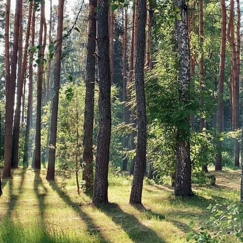 Каменецкие купели