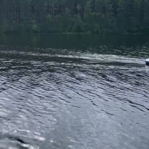 Карельский берег