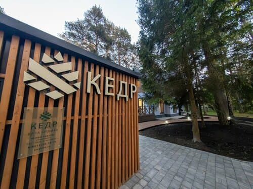 Кедр