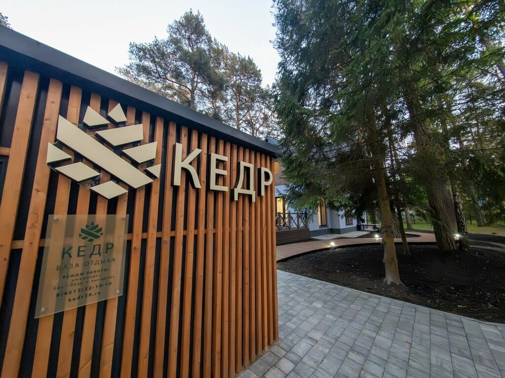 Кедр