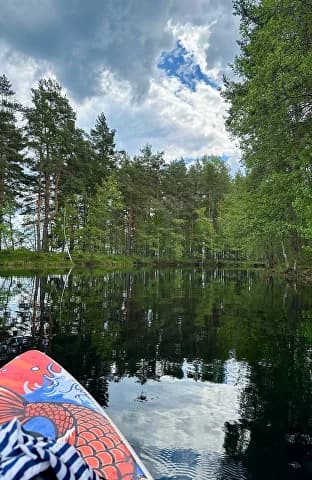 Клюква