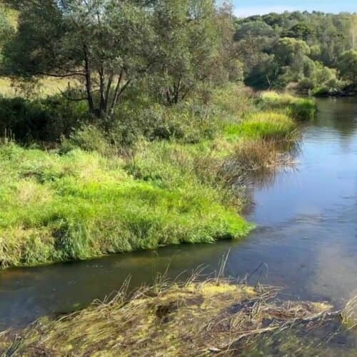 Краски природы