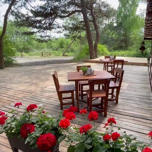 Куршале
