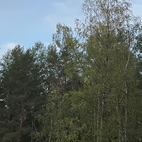 Ладога Фьорд