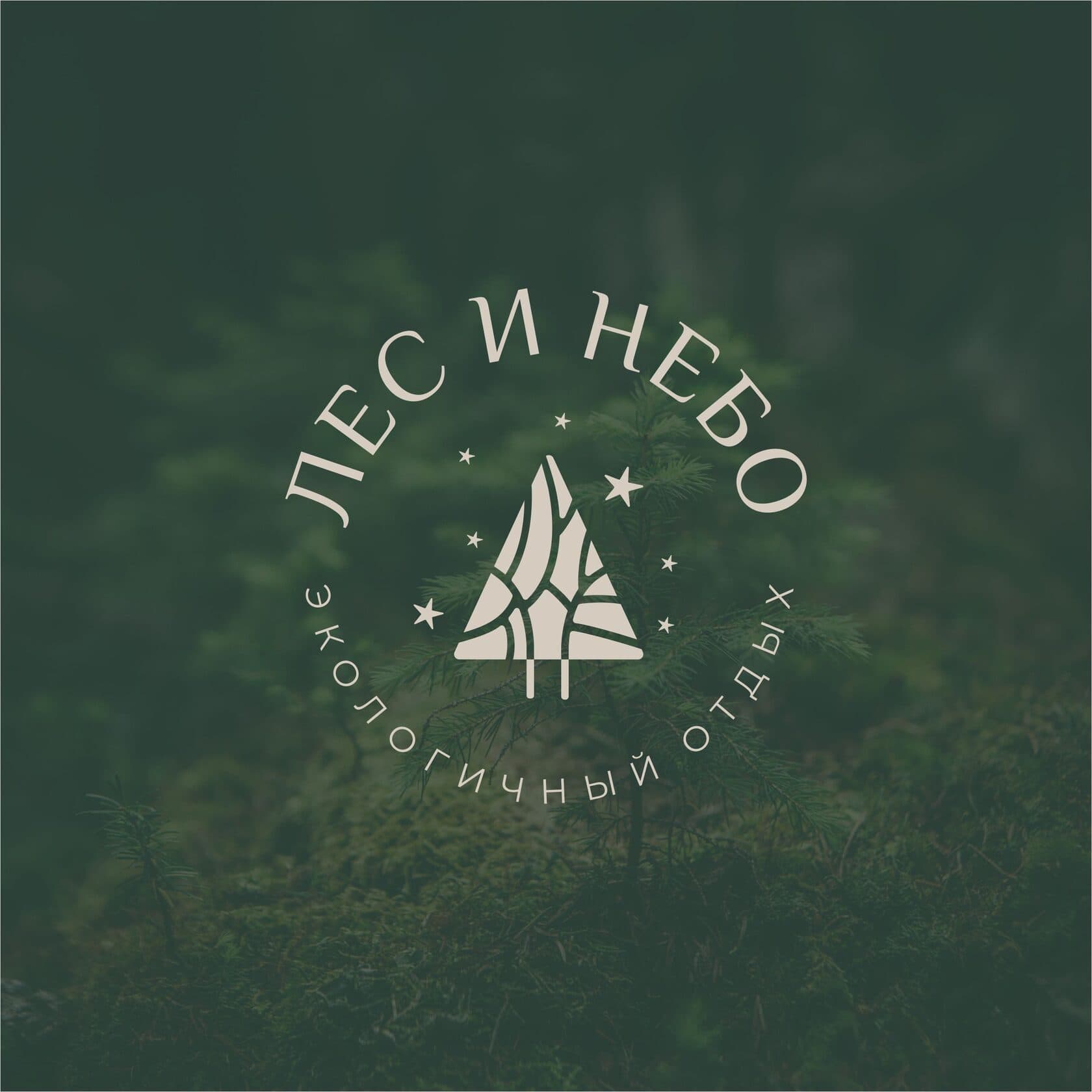 Лес и небо
