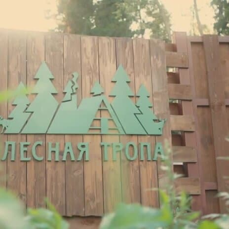 Лесная тропа