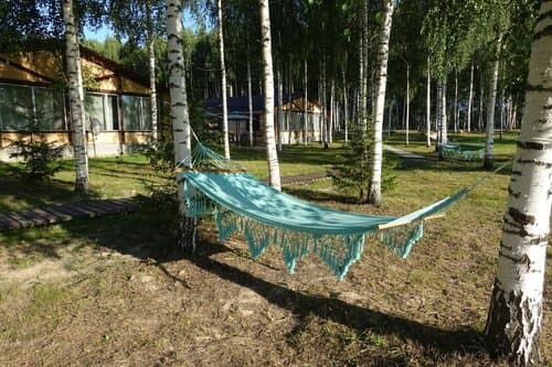 Лесной берег