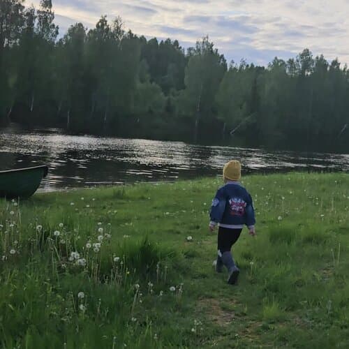Лесной берег