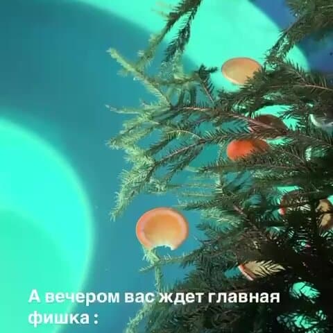 Парк-отель На краю света