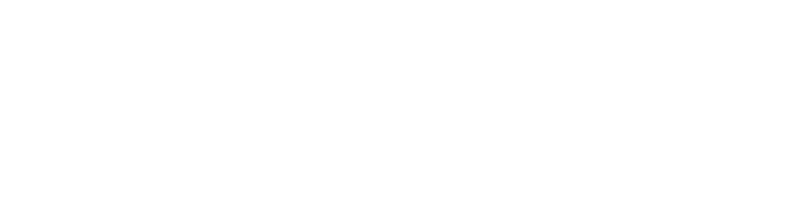 New Camp Эссойла