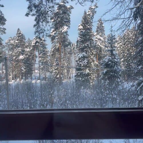 Николо-поле