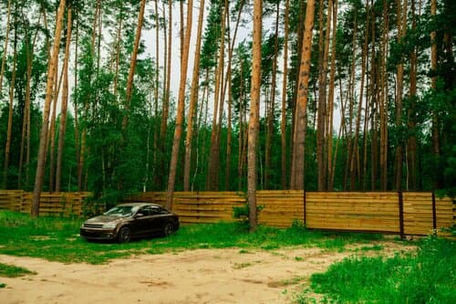 База отдыха Лесная база "Папоротник"