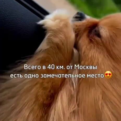 Павлов Вилладж