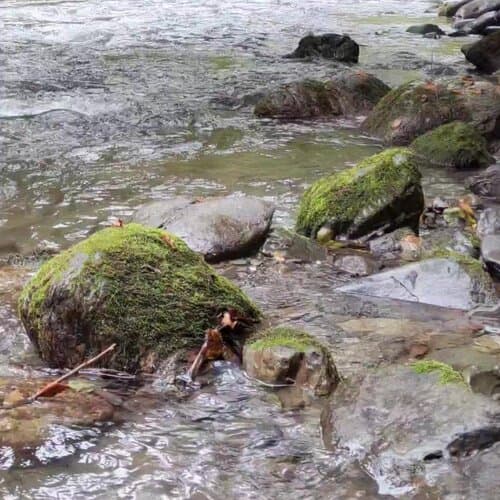 River Side