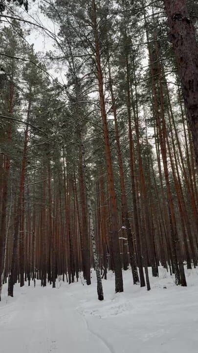 Русь
