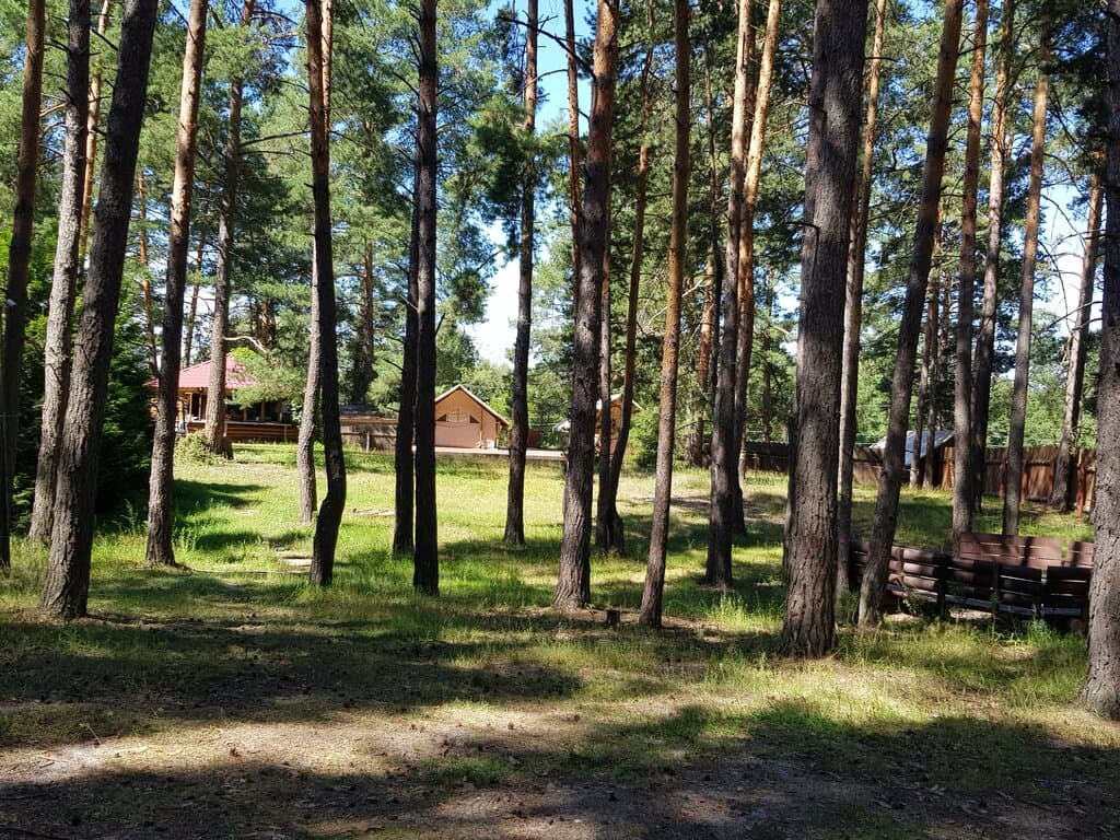 Сарин