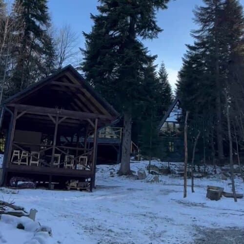 Счастливый лось