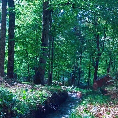 Глэмпинг Шалаш Архыз