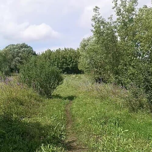 Сибарит