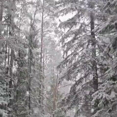 Солнечный Бор