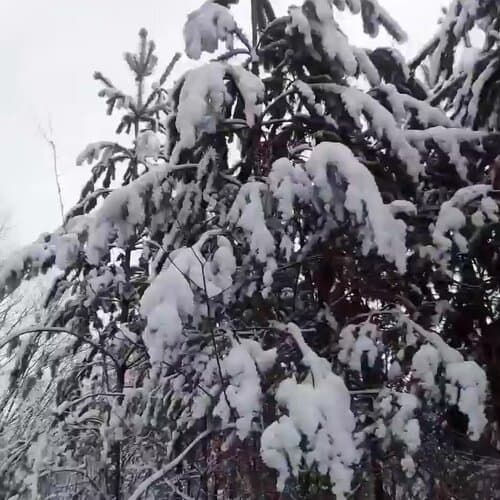 Пространство. ЭкоОтель
