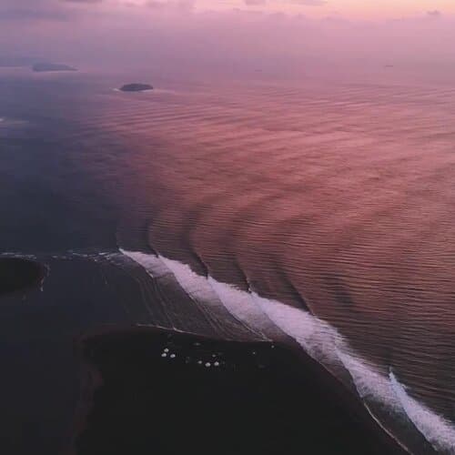 Surf Camp Swell