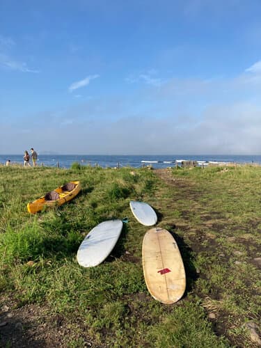 Surf Camp Swell
