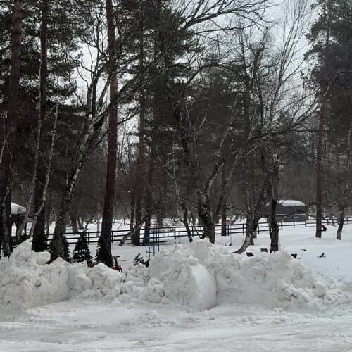 Терра Глэмп