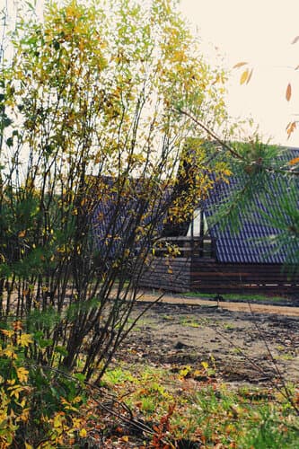 База отдыха Глэмпинг "Туристическая деревня "Новый Крымкор"