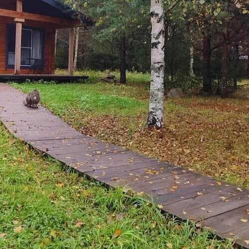 Усадьба Добрынино