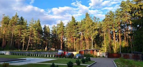 Вино и сосны
