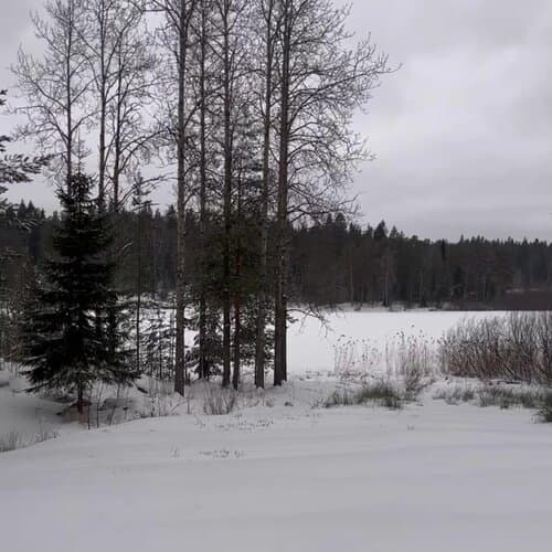 Vuoksa Camp ( Вуокса Кемп )