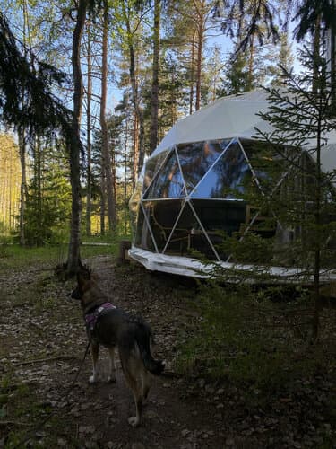 Vuoksa Camp ( Вуокса Кемп )