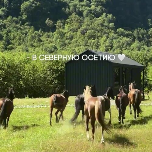 Высоцкий