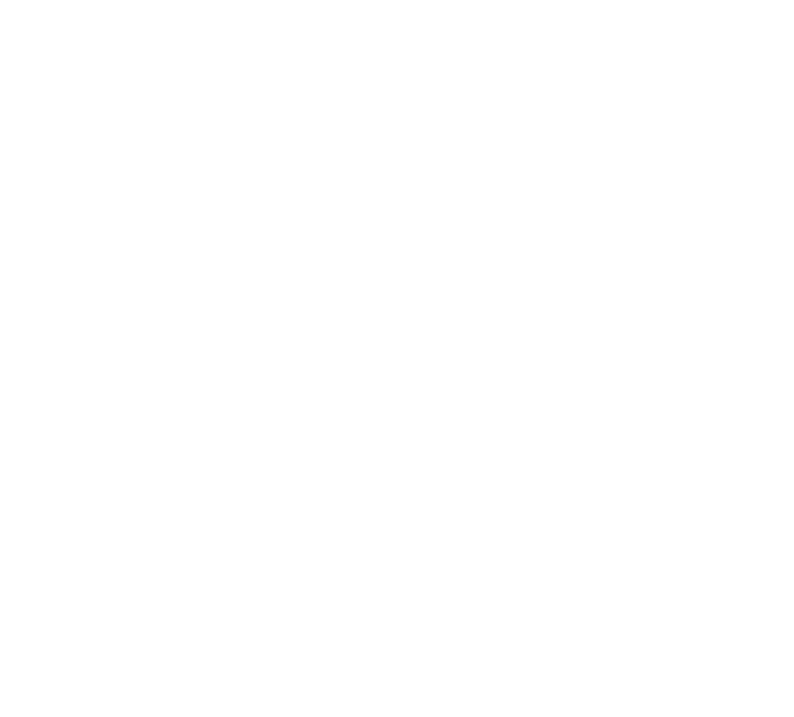 WOW DACHA