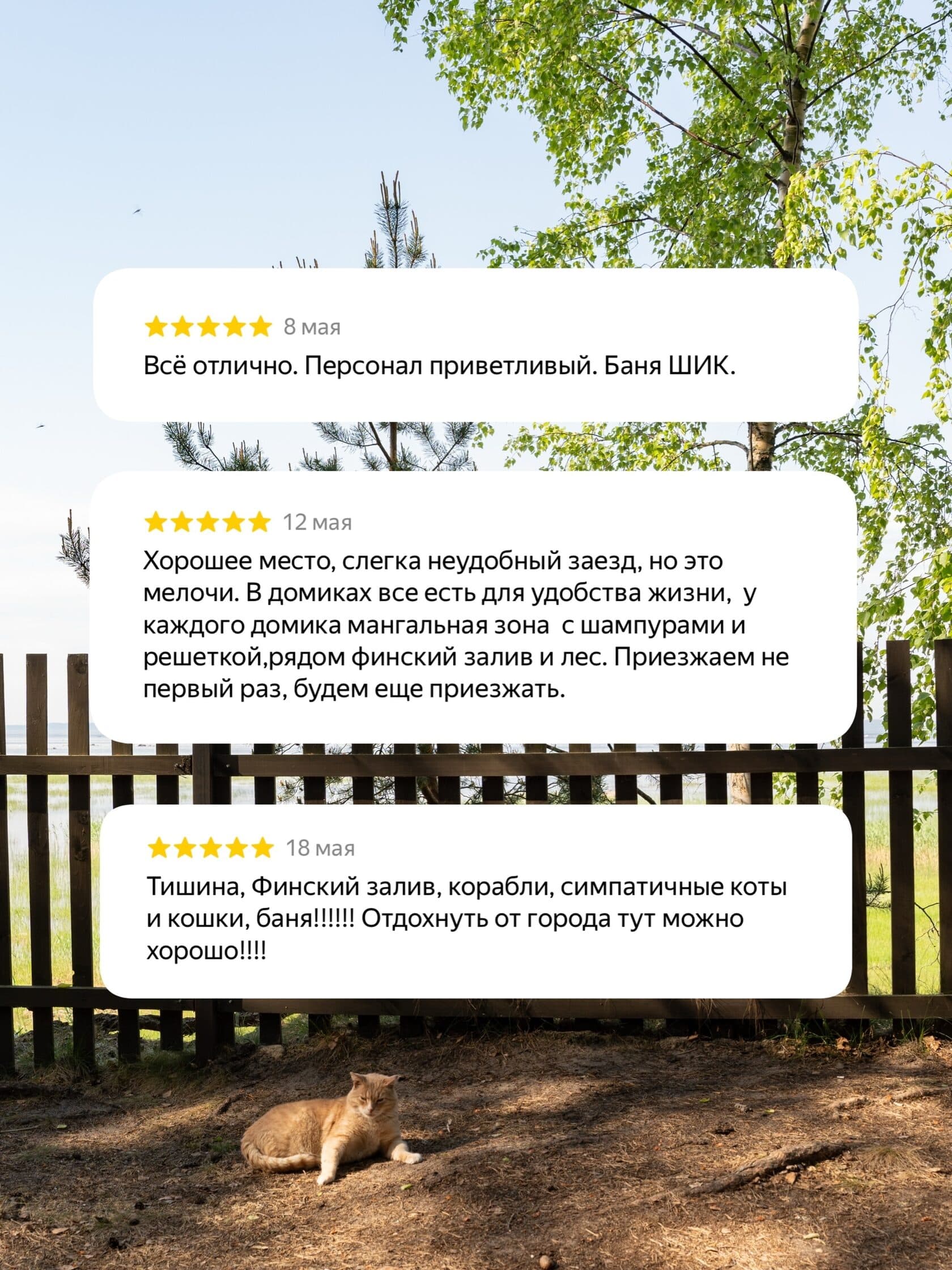 База отдыха Янтарный берег
