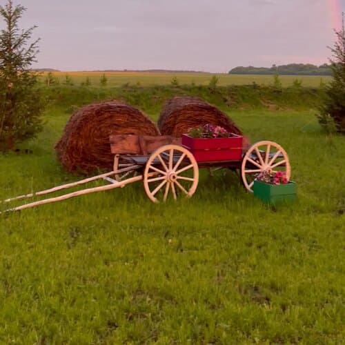 ЕвроПарк