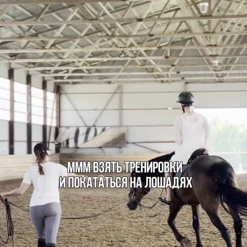 Ёжик в тумане