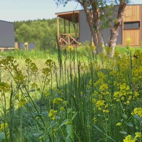 Глэмпинг Yurt Resort