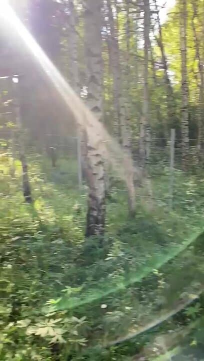 Заречье