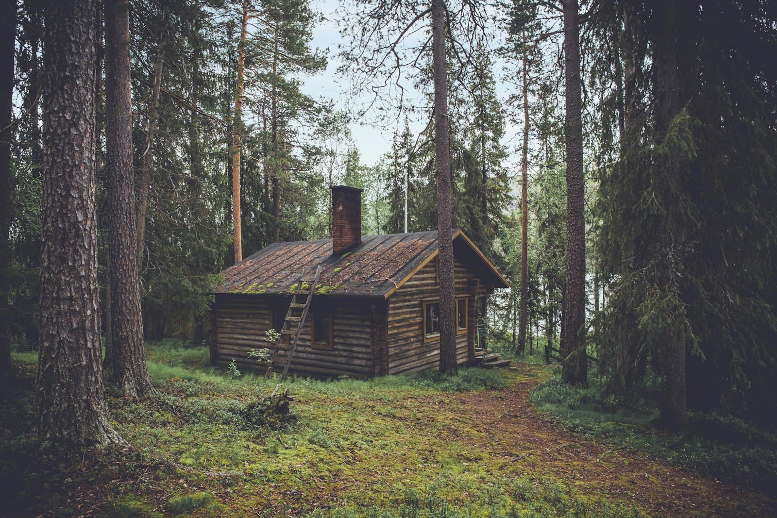 Карельская Сага